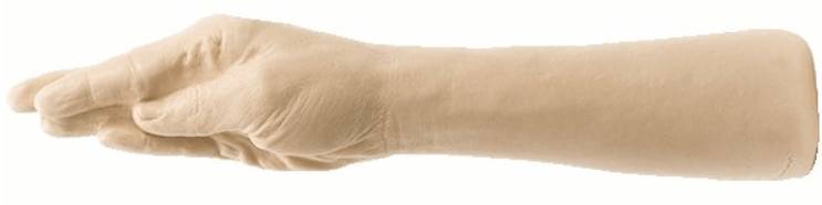 Hand and arm shaped dildo, The Hand by Doc Johnson, xustom dildos, long dildos, wide dildos, ultra-girthy dildos