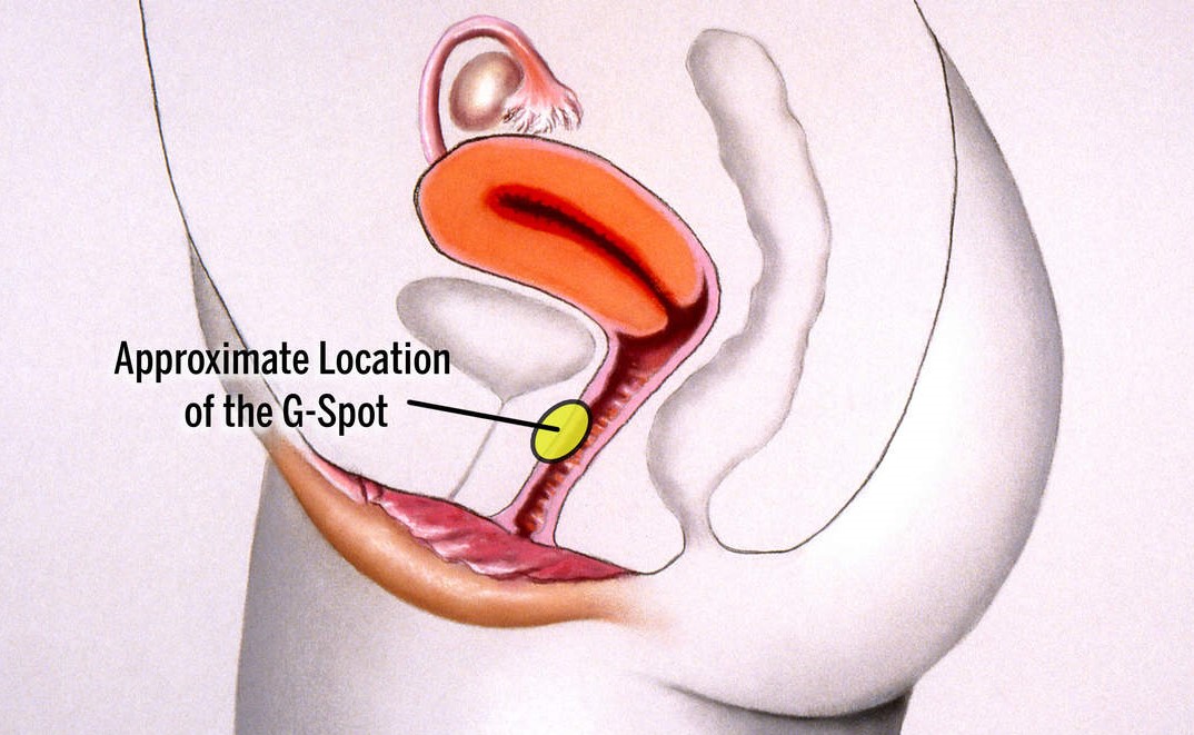 how to finger a girl, where is the g-spot