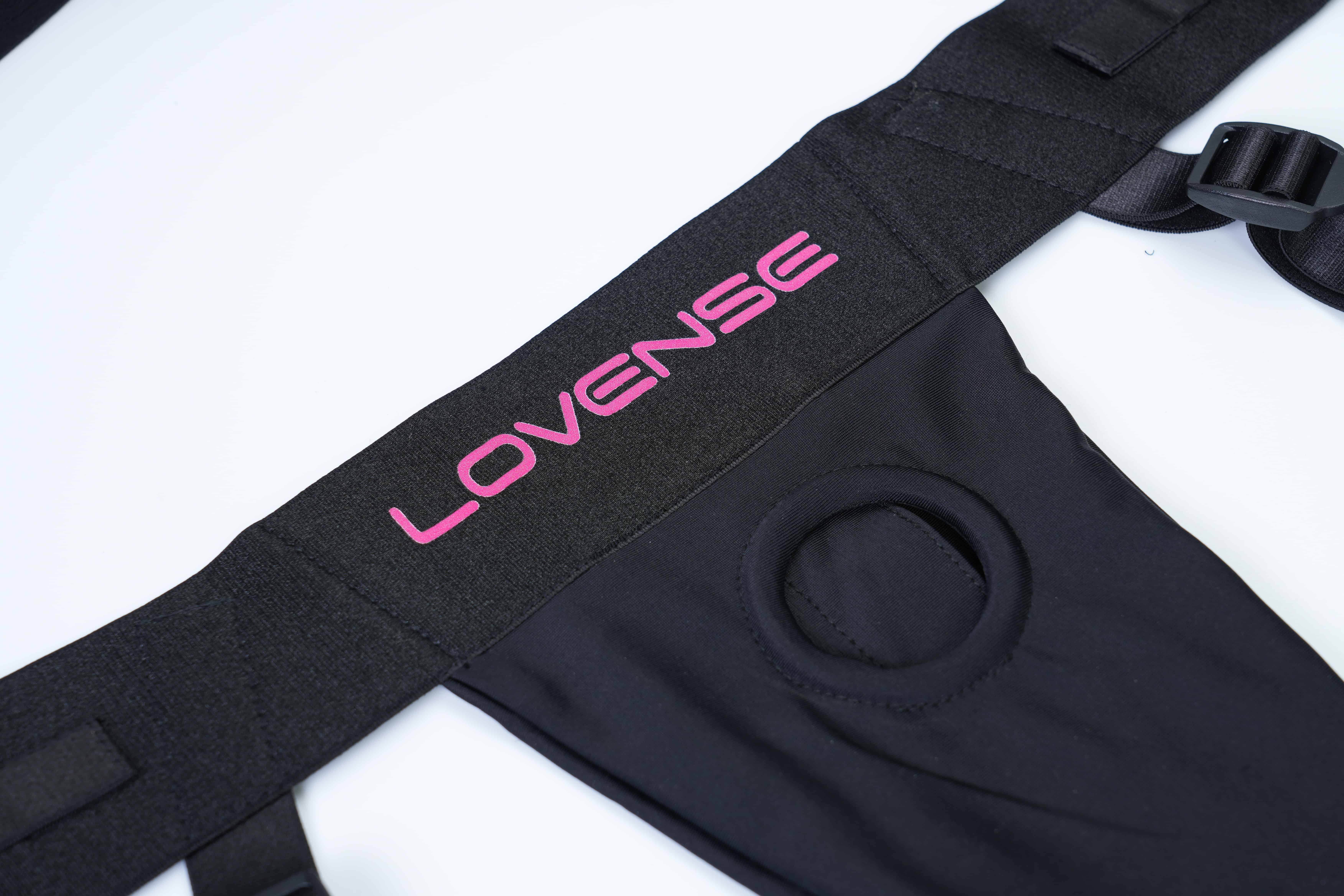 Lovense Harness:  compatibe with a wide variety of dildos from suction cup to double ended