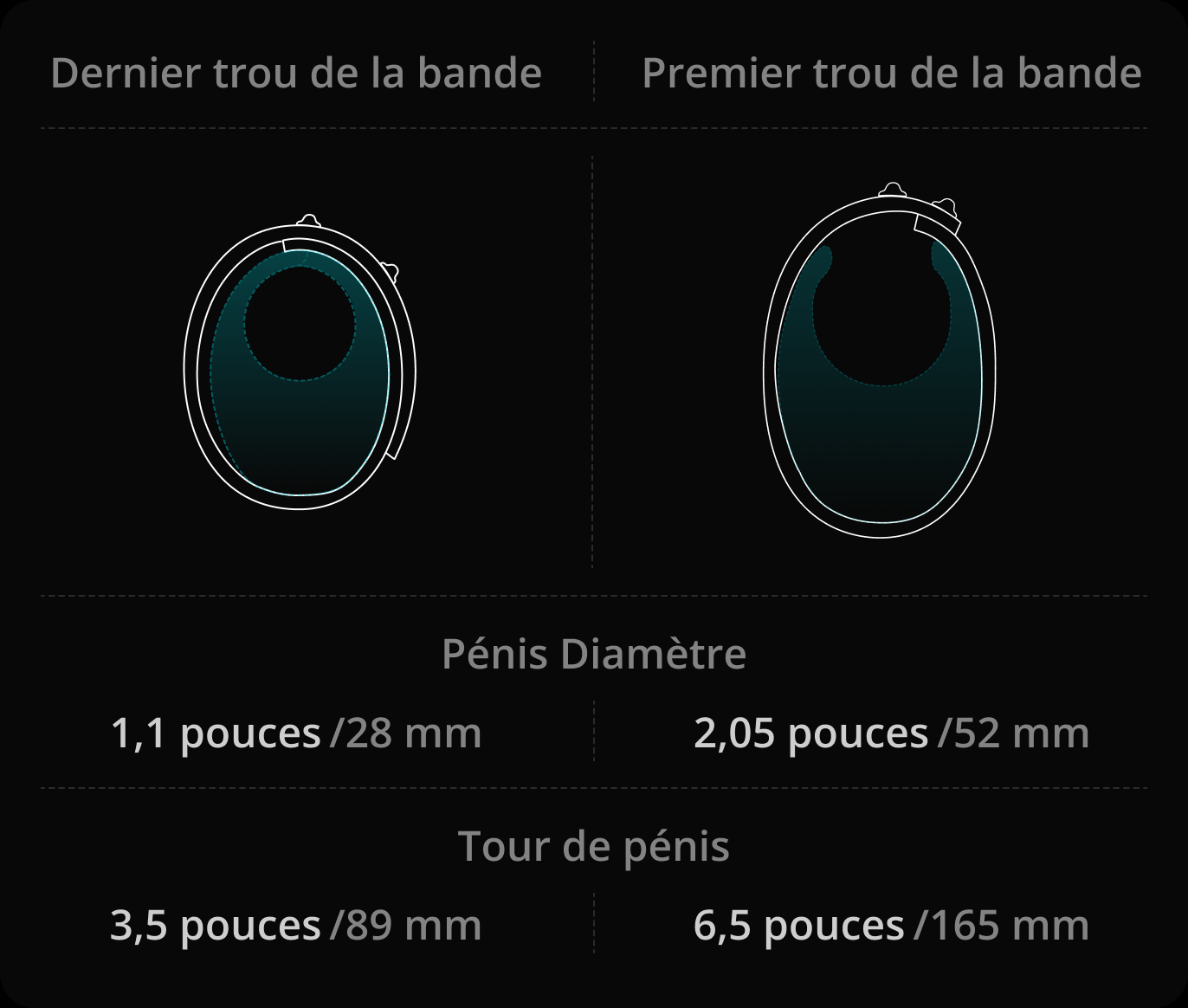 Quelles tailles de pénis sont les mieux adaptées pour une utilisation avec le bracelet ?