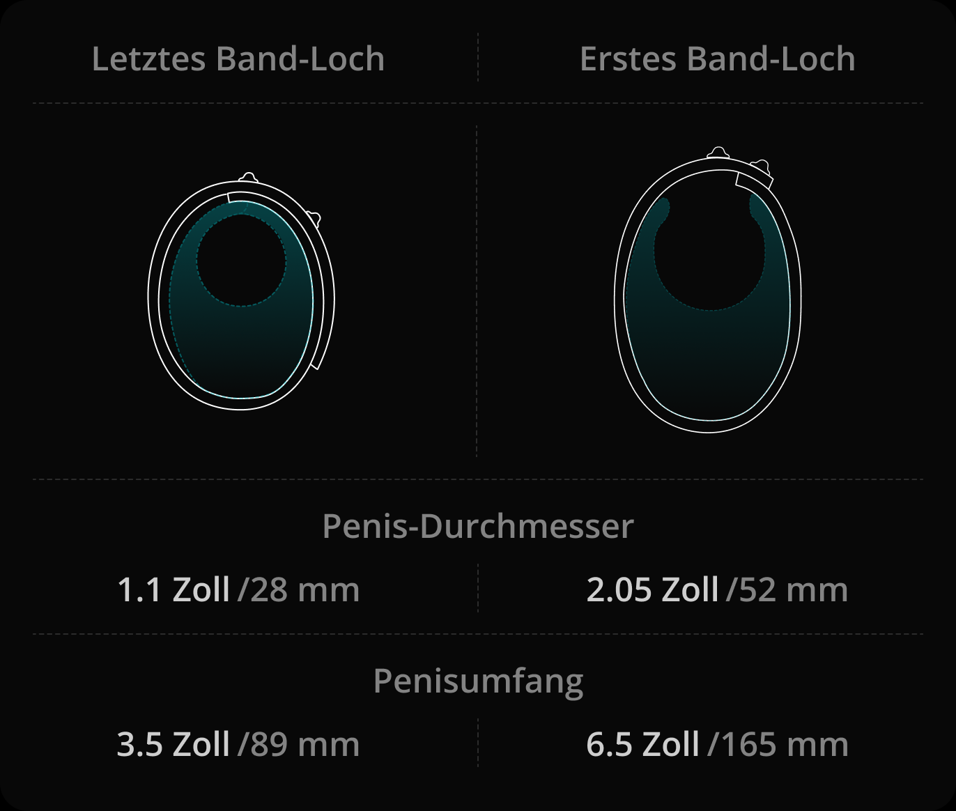 Welche Penisgrößen passen am besten zu dem Band?