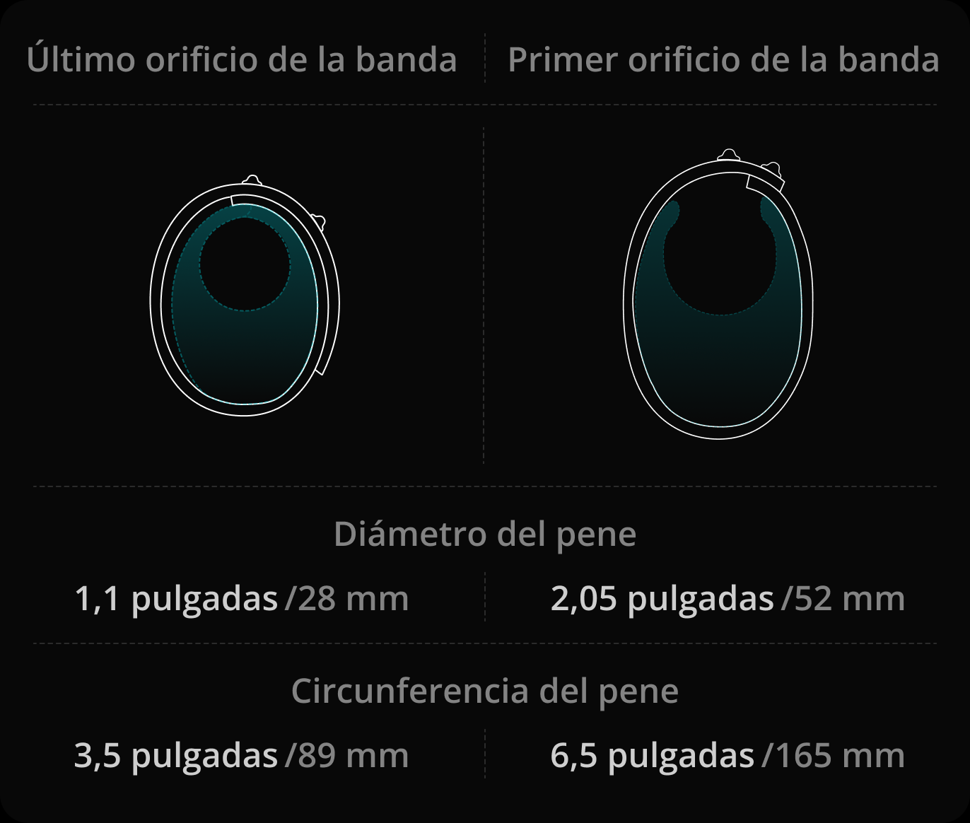 ¿Qué tamaños de pene son los más adecuados para usar con la banda?