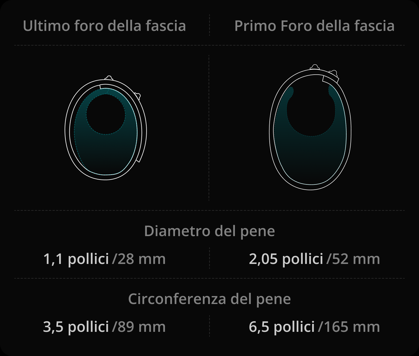 Quali dimensioni del pene sono più adatte per l'uso con la fascia?