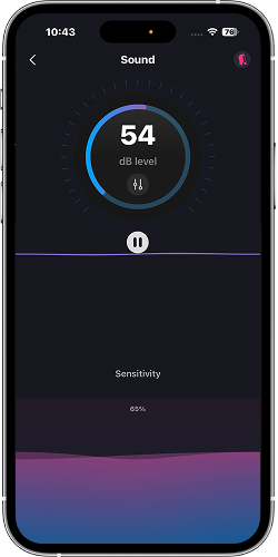 Synchronisation sonore