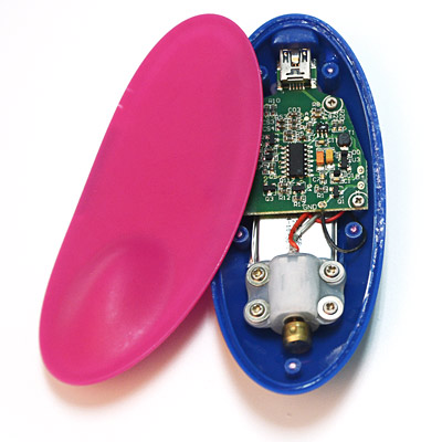The battery of a leading panty vibrator.