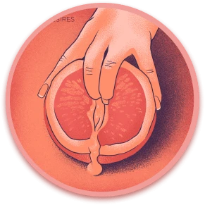 Lovense Bloom: Sync Your Toy with Erotic Stories